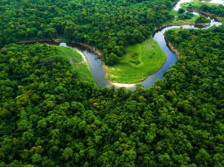 AA-Blog-Banner-Biodiversity-forest